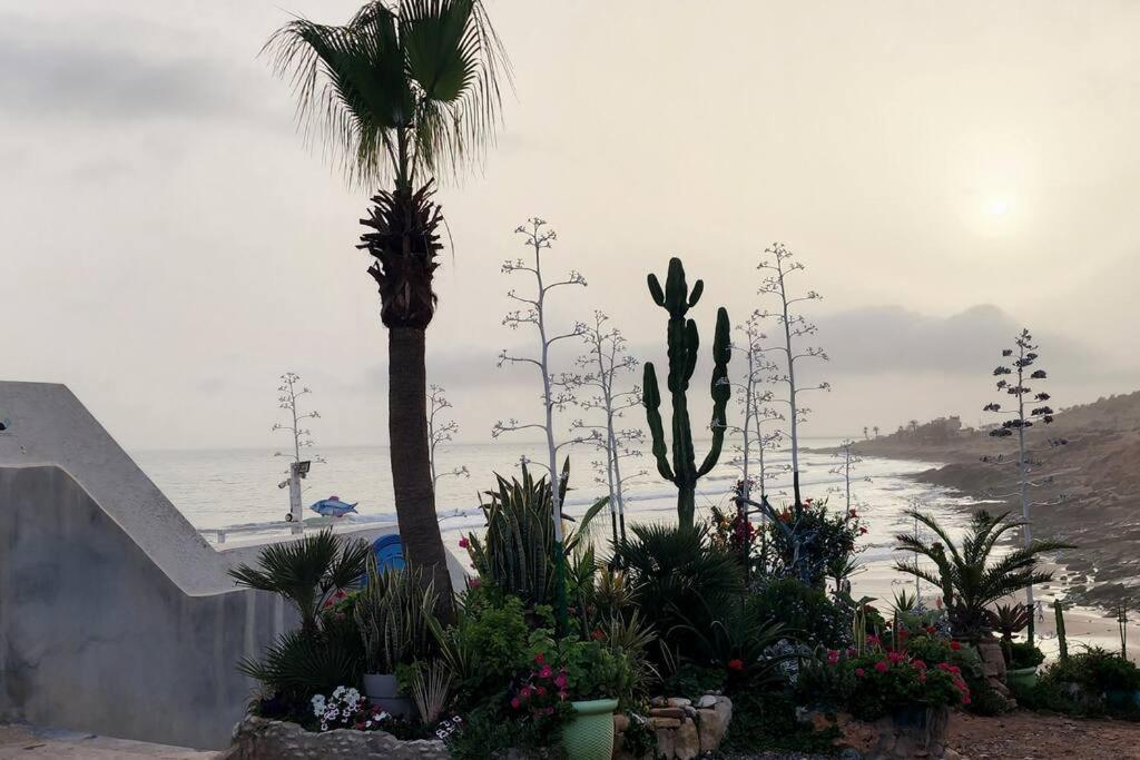 Superbe Appartement Pied Et Vue Sur Mer Taghazout Zewnętrze zdjęcie